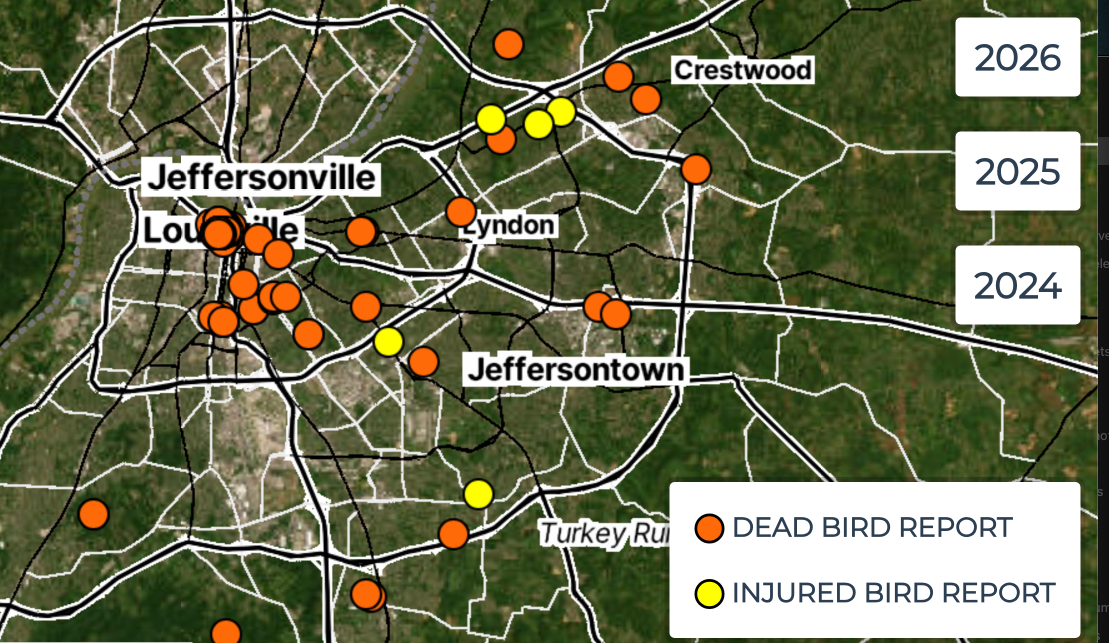 dBird.org map of dead/injured birds logged in Jefferson County